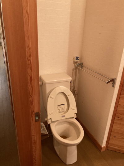 ʐ^